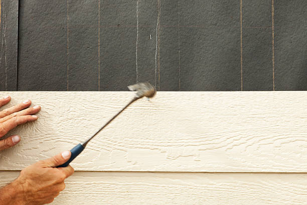 Best Siding Painting and Refinishing  in Sweet Springs, MO